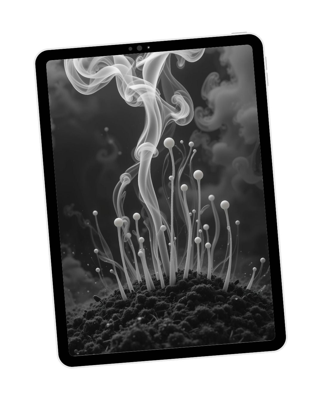 Black & White & Smoke