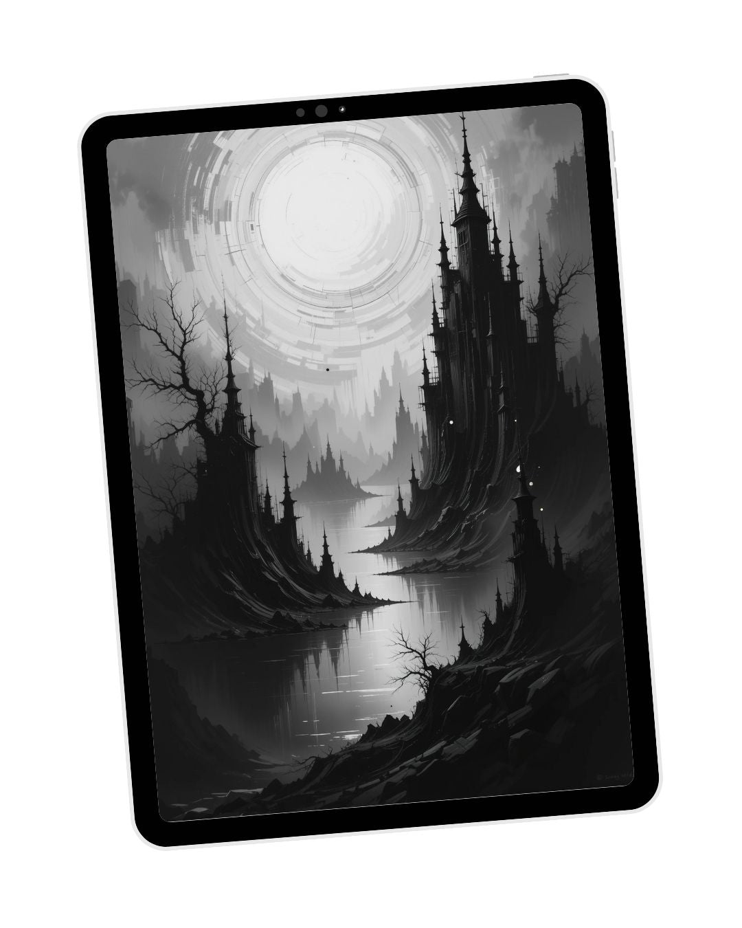 Black & White - Abstract