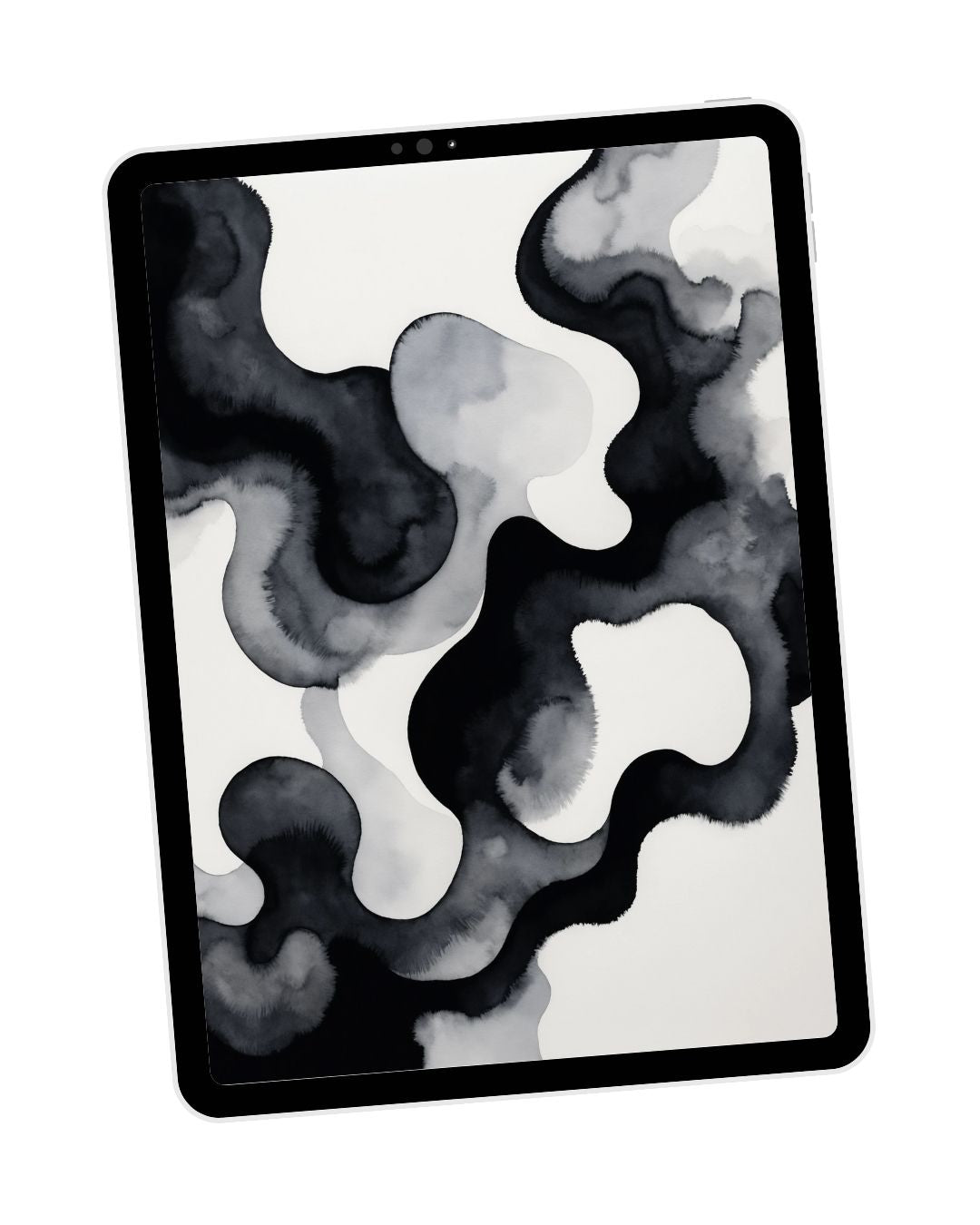 Black & White - Abstract