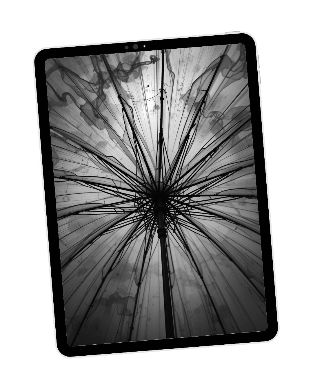 Black & White & Smoke